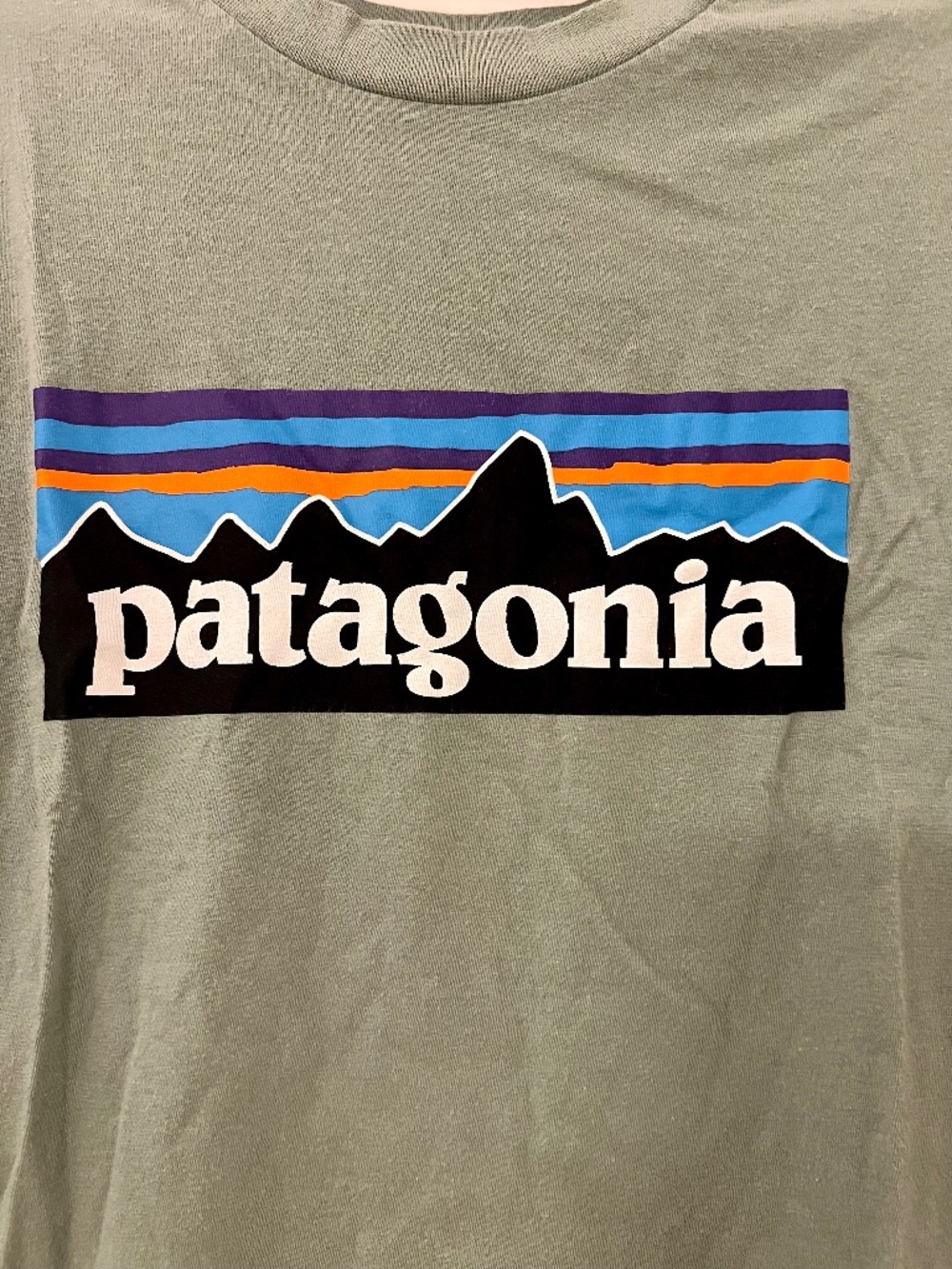 Patagonia Long-Sleeve T-Shirt